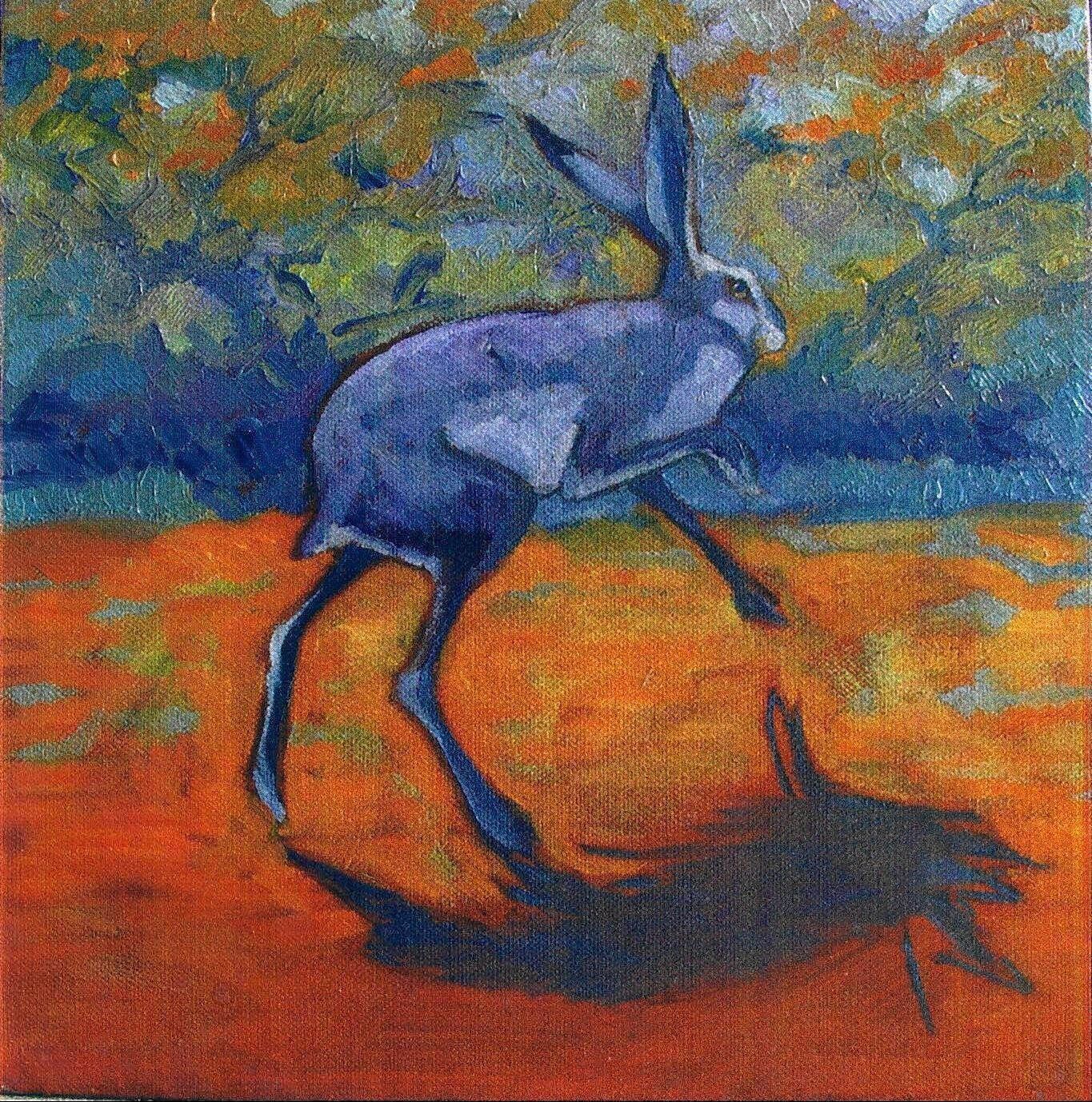 The Hare and his Shadow